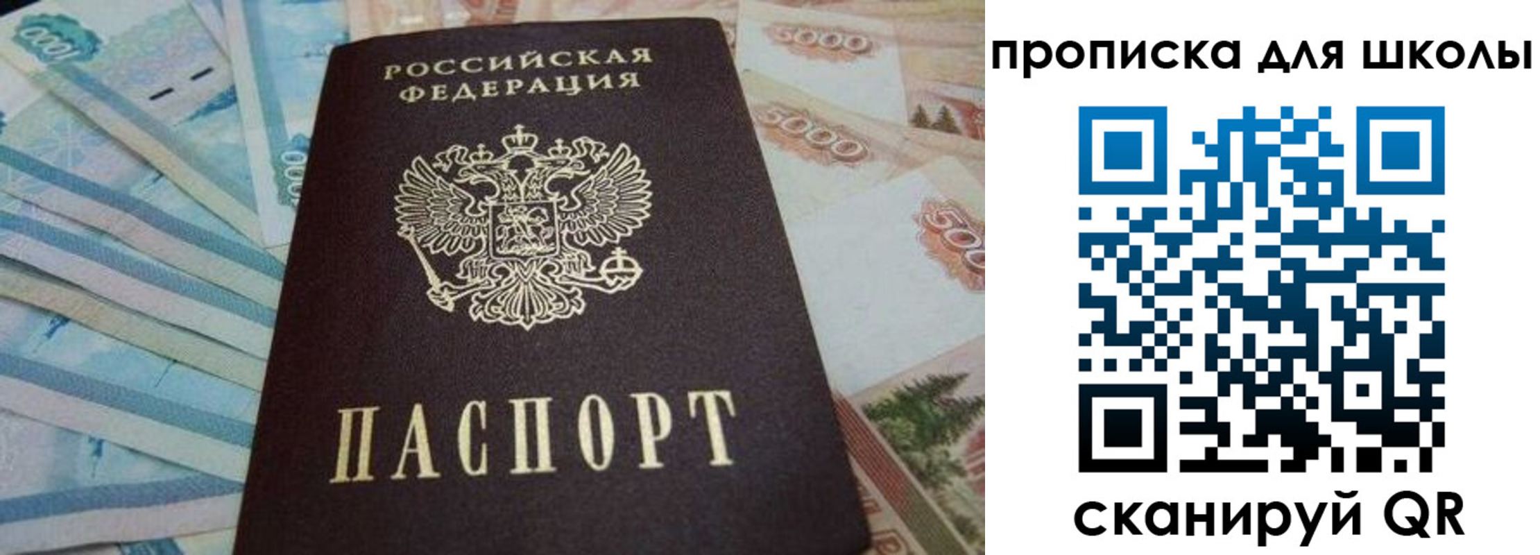 прописка гарантия в Березниках